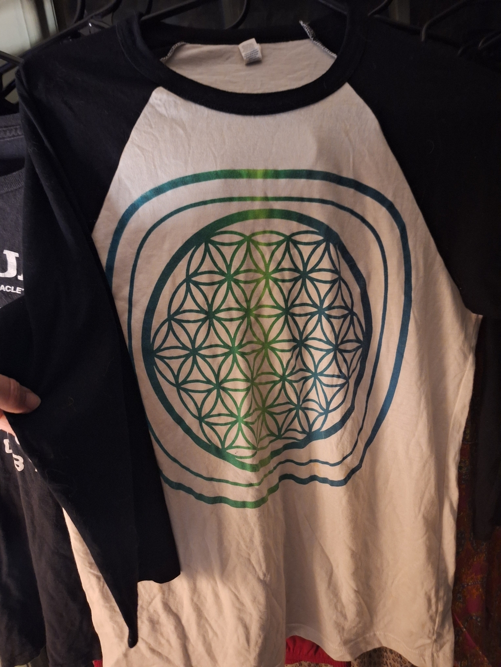 Bella Canvas Black & White Raglan Tee with Green Graphic
